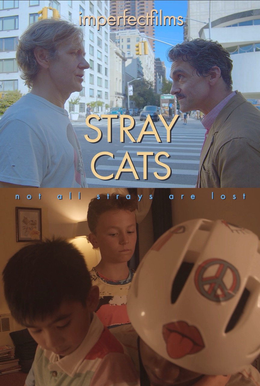 Official film poster for the feature film Stray Cats 