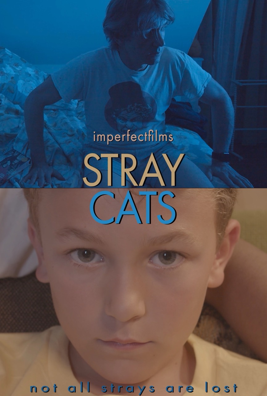 Official poster for the feature film "Stray Cats"